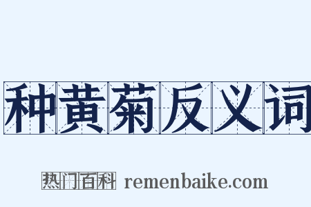 种黄菊反义词是什么意思的图片